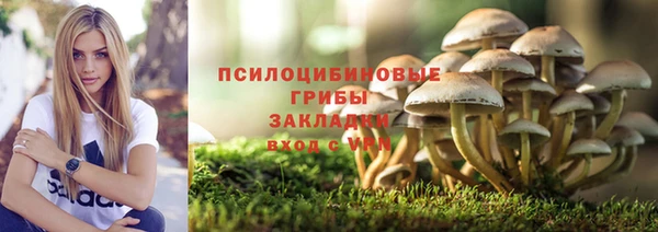 прущие крисы Алзамай
