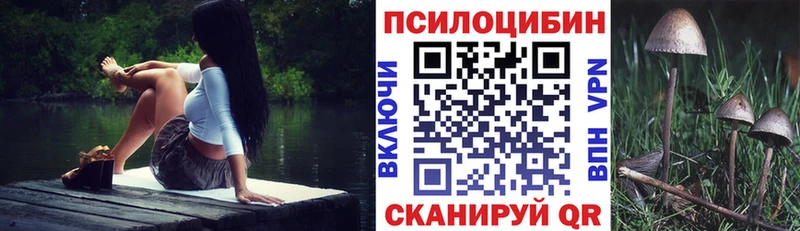 Галлюциногенные грибы мухоморы  где продают наркотики  Дмитровск 